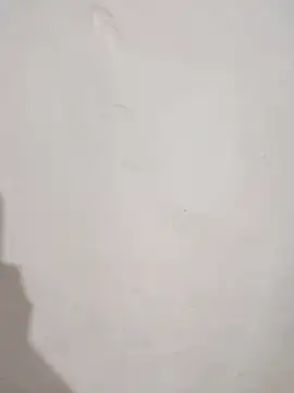 SLBL online show from 03-25-26, 09:30