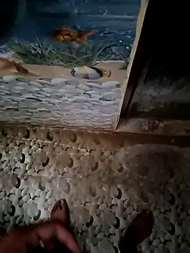 CunningBigDick online show from 04-05-26, 03:13