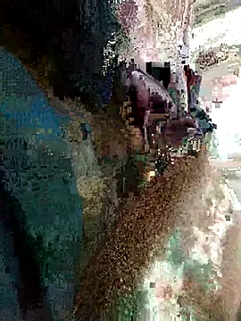 blax0 online show from 03-29-26, 12:23