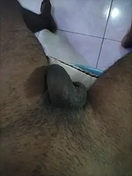 wildguy27 online show from 04-08-26, 12:17