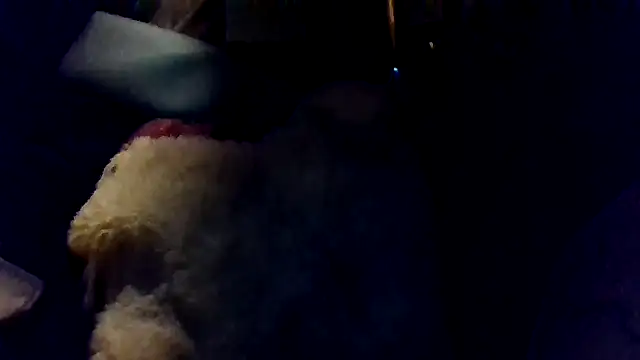 shag369 online show from 04-30-26, 05:36