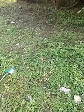 Snapshot of junedkhan99 chatting on 04-03-26, 03:02 junedkhan99 online show from 04-03-26, 03:02