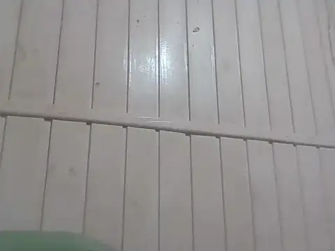 Docecastainha online show from 04-07-26, 10:33