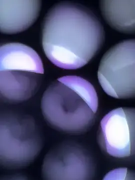 turkkkkgenccc online show from 06-03-26, 12:55