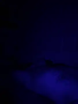 Snapshot of Diversified_Reality chatting on 04-09-26, 10:43 Diversified Reality online show from 04-09-26, 10:43