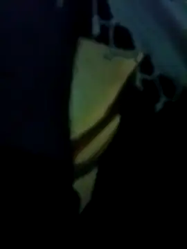 Snapshot of yourdreamman007_ chatting on 03-31-26, 11:29 yourdreamman007 online show from 03-31-26, 11:29