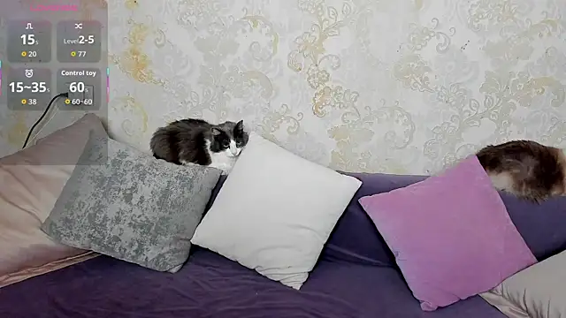 Simply Alex online show from 05-15-26, 01:03