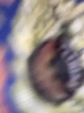 Bristy BigBoobs online show from 04-23-26, 03:57