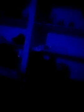 DKD-TELUGU36 online show from 04-04-26, 09:32