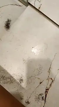 Snapshot of OBengaliBabuO chatting on 02-19-25, 08:44 OBengaliBabuO online show from 02-19-25, 08:44