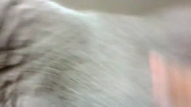 madzbailey online show from 07-01-26, 02:17