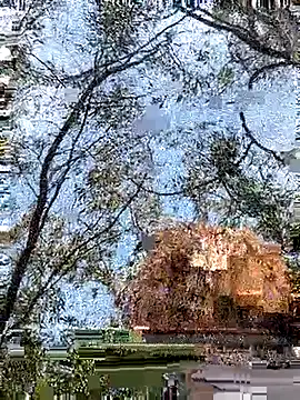 Snapshot of Julialexxxx chatting on 04-07-26, 10:39 Julialexxxx online show from 04-07-26, 10:39