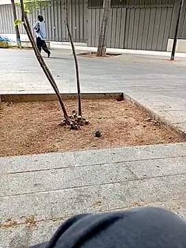 biga00 online show from 04-11-26, 03:38