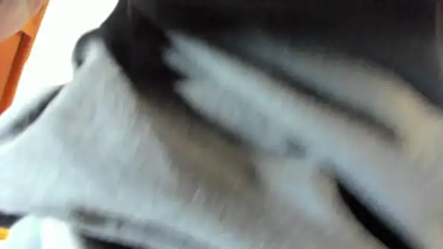 pipe monstercock online show from 05-21-26, 08:17