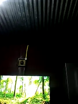 Sxxmann online show from 05-15-26, 05:05