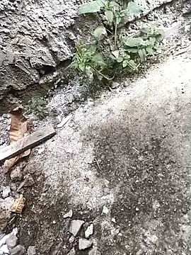 Rocky pune online show from 04-16-26, 03:40