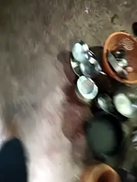 Rocky pune online show from 04-08-26, 01:29