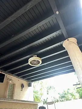 youngwildfreee online show from 04-09-26, 08:26