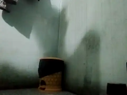Snapshot of thichgaidambu chatting on 05-27-26, 08:11 thichgaidambu online show from 05-27-26, 08:11
