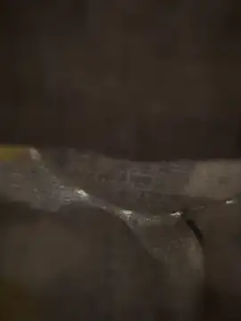 xezie online show from 04-10-26, 10:00