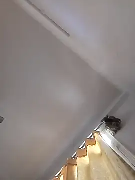 rathorejii online show from 04-14-26, 05:56