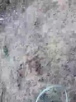 rocky play boy  online show from 05-25-26, 11:53