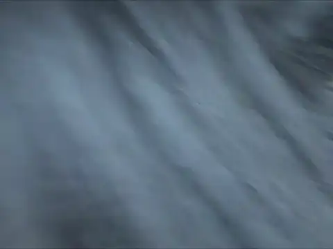 Rouse Wild online show from 05-25-26, 07:07