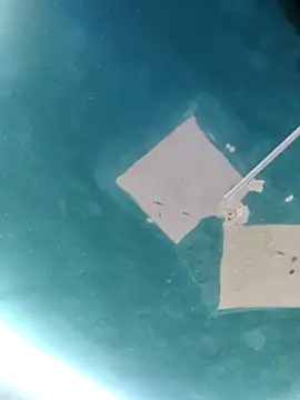 maicol6699 online show from 04-18-26, 05:10