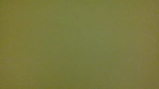 average jack online show from 04-16-26, 11:29