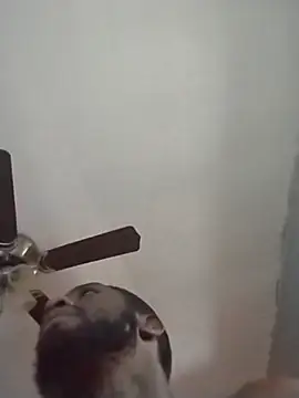 moneymandes757 online show from 04-18-26, 11:56