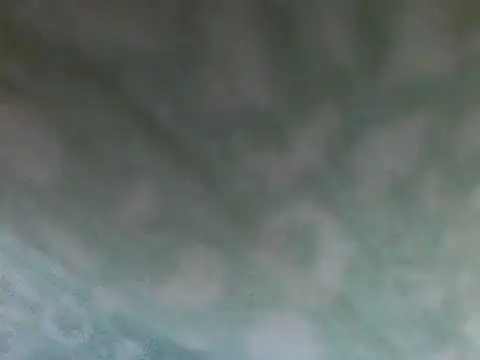 Short-V online show from 04-17-26, 08:11