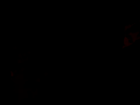 TooCutee online show from 07-21-26, 08:48