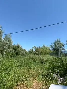 Mira Luna online show from 05-26-26, 10:02