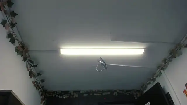 LilaVelvet online show from 05-25-26, 07:45