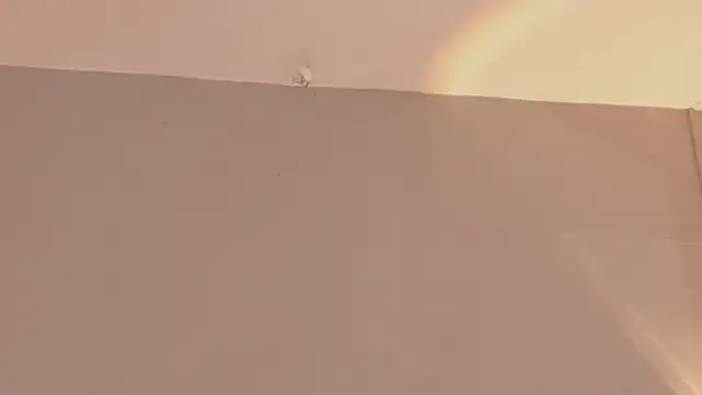 JadeHearrt online show from 05-28-26, 06:47