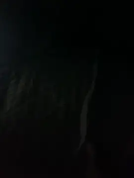 Flaco xdx online show from 04-22-26, 10:22