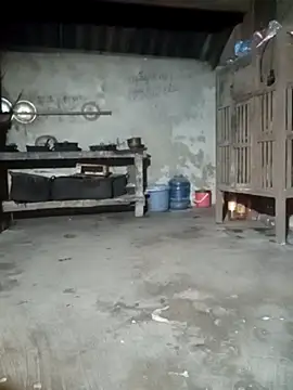 phuongtrinh1 online show from 06-21-26, 01:39