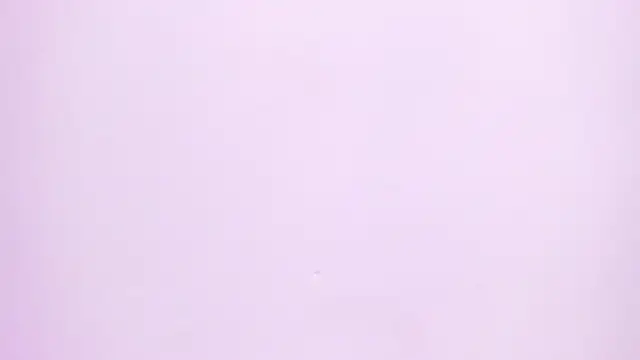 Natasha028  online show from 06-02-26, 11:32