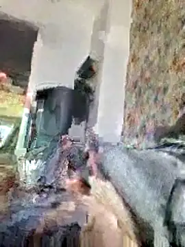 bellequeue147 online show from 04-21-26, 10:55