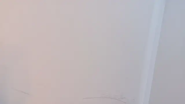 Elektradoll1 online show from 05-16-26, 12:04