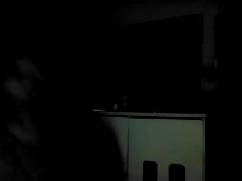 Leonildo2026 online show from 06-11-26, 05:37