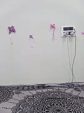 silkyhairs online show from 07-02-26, 11:49
