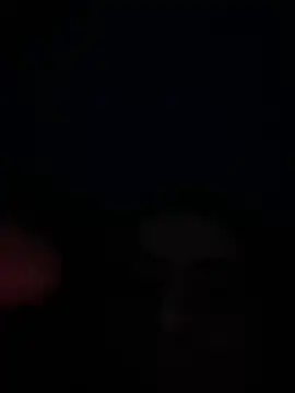 eu marko online show from 04-30-26, 05:09