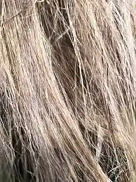 erikthor online show from 06-26-26, 08:14
