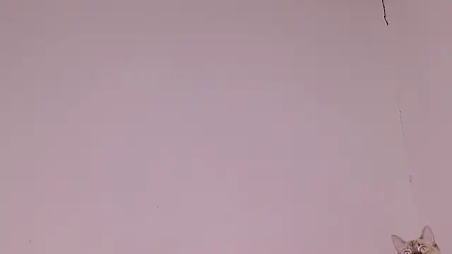 MayGibsson online show from 08-08-26, 12:23
