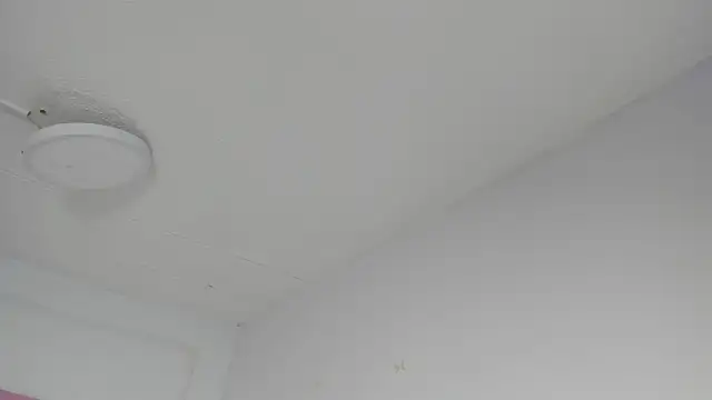 Sharon Adamss online show from 07-09-26, 07:24