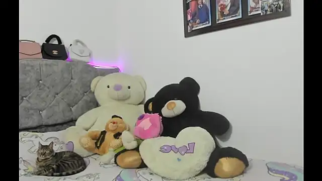 dani hall online show from 07-16-26, 11:46