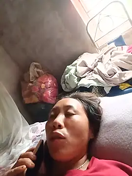 Jinli 01 online show from 07-15-26, 05:47