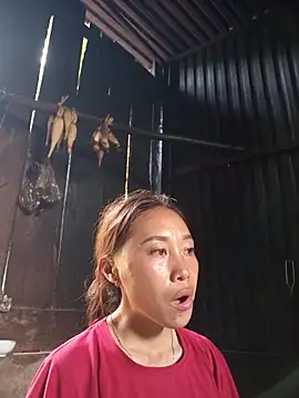 Jinli 01 online show from 05-17-26, 04:56