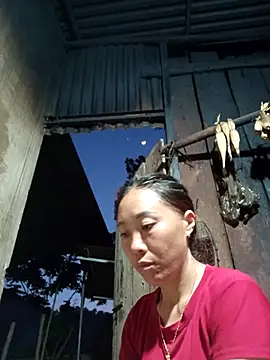 Jinli 01 online show from 05-20-26, 12:13